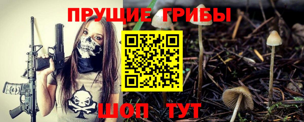Псилоцибиновые грибы ЛСД Верхняя Пышма